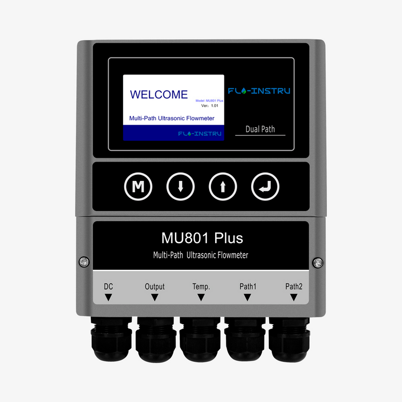 MU801 Plus – мультиканальний ультразвуковий лічильник енергії із датчиками температури PT100, рис. 1