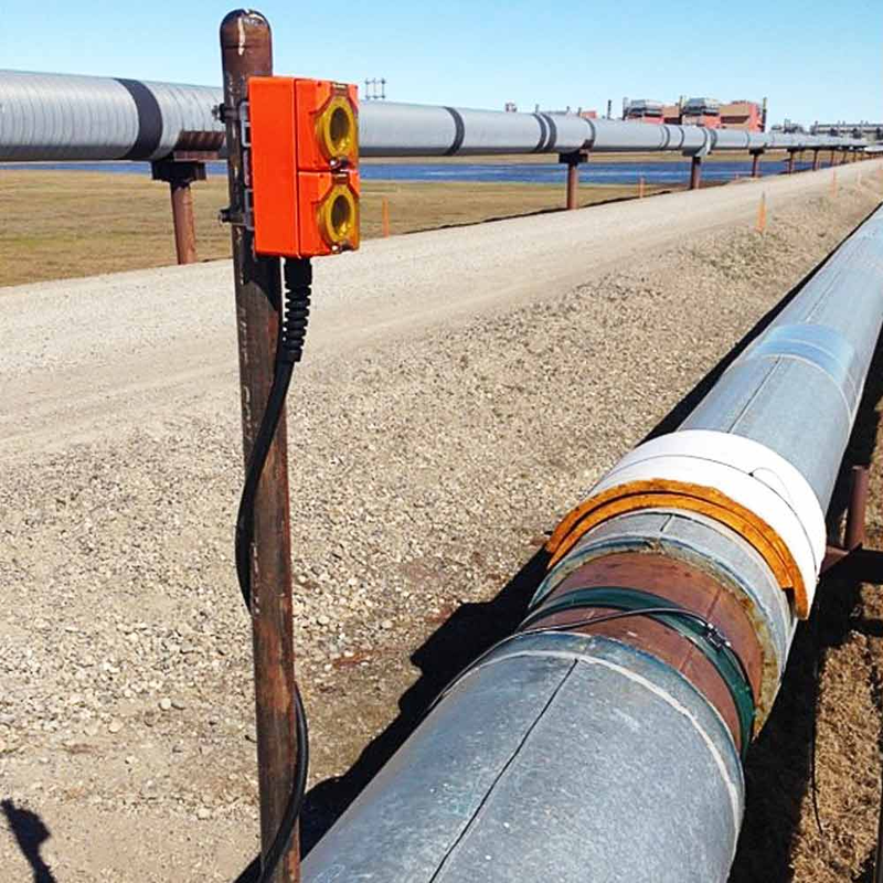 Кільця постійного моніторингу gPIMS Sensor, рис. 2